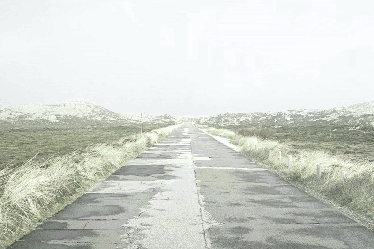 Dnen neu B800 (Kopie)